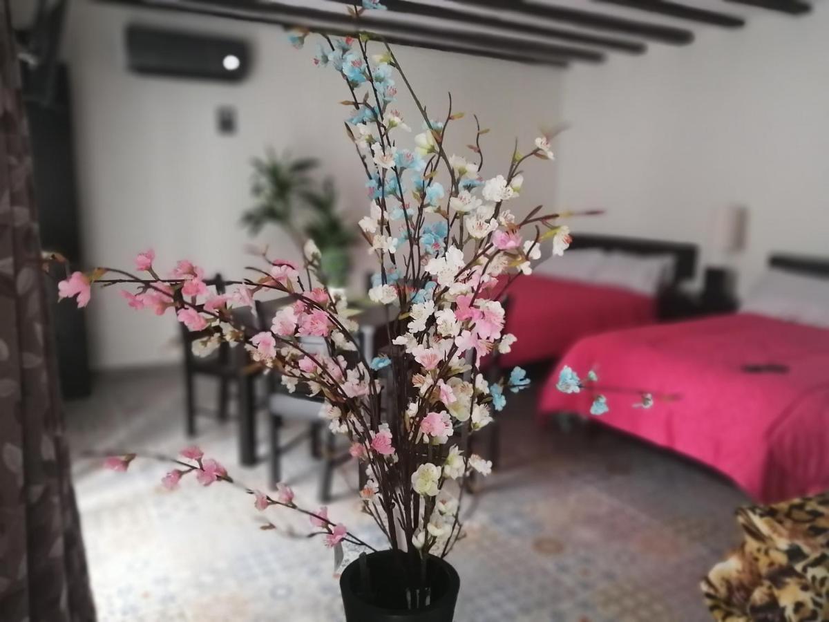 Casa Mama Bety Lägenhet Valladolid  Exteriör bild
